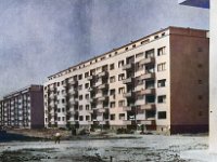 Trnje, poljane 1949. godine